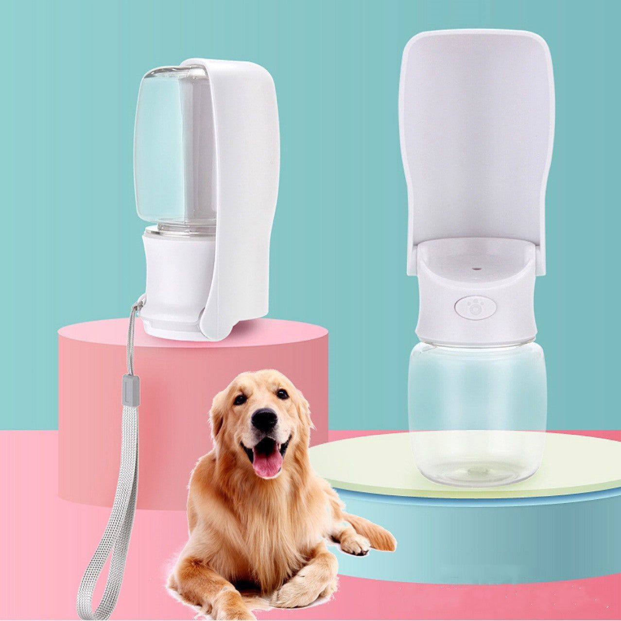 On-the-Go Dog Water Bottle
