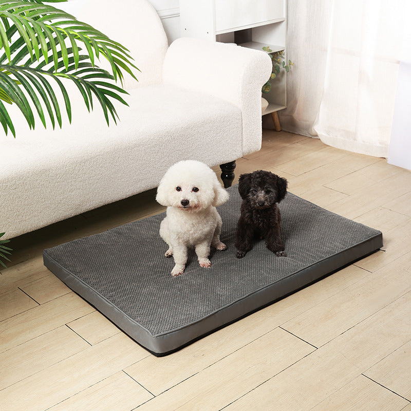 ComfortCloud Memory Foam Pet Cushion