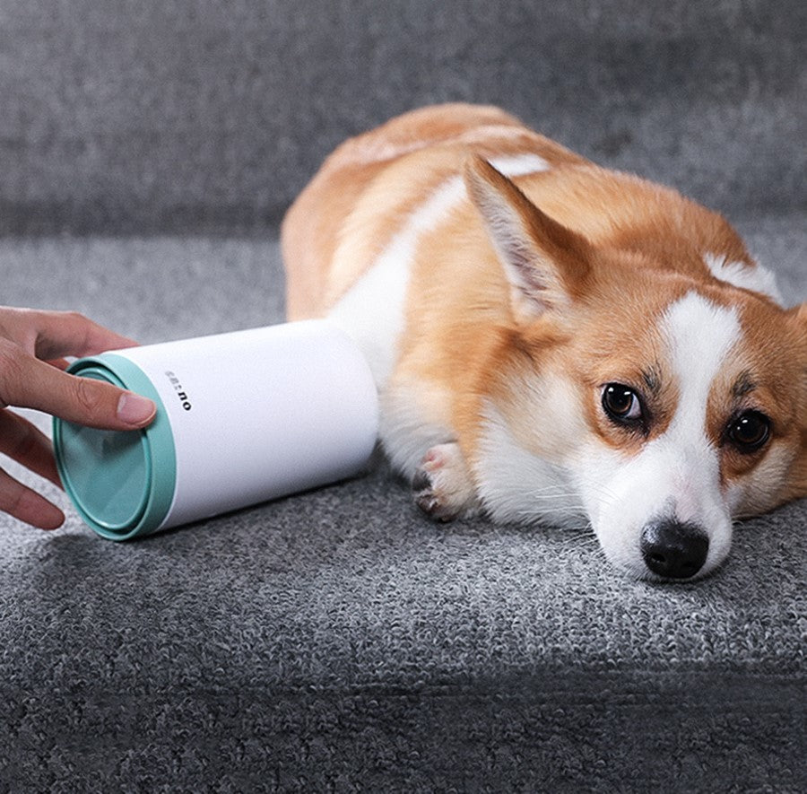 QuickWash Silicone Paw Cleaner